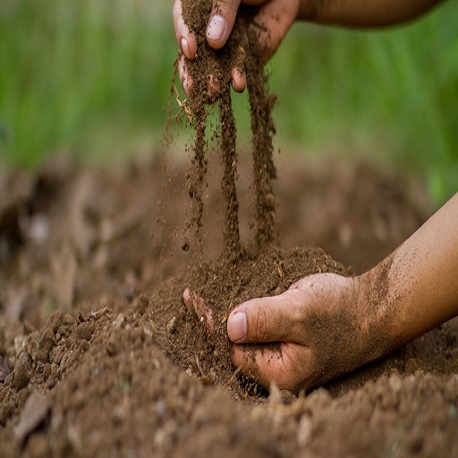 Organic Soil Conditioners